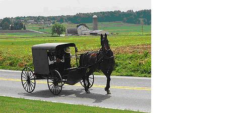 Amiši - preprosti ljudje iz Pensilvanije-ZDA.